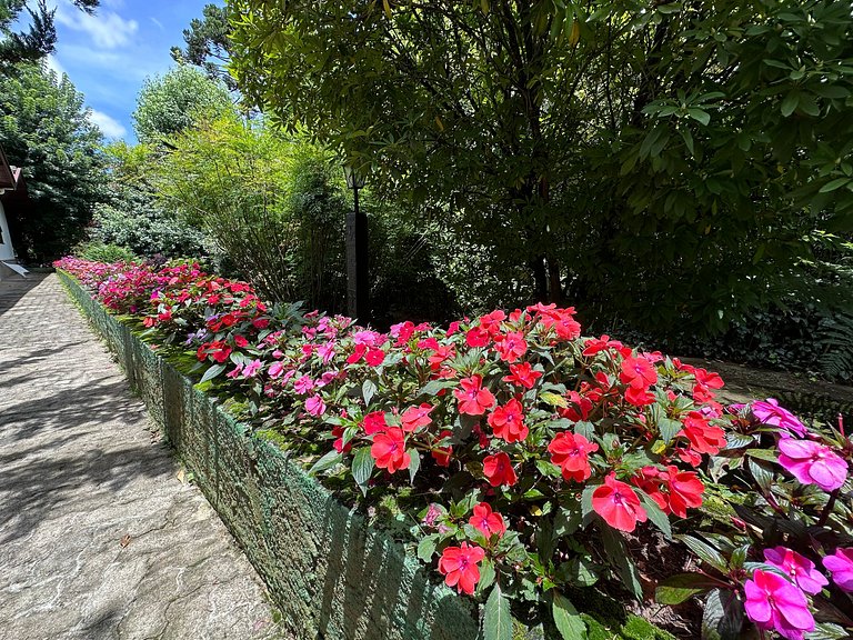 Apartamento en el centro