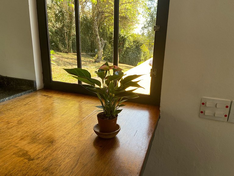 Architect's house with view, garden and fireplace