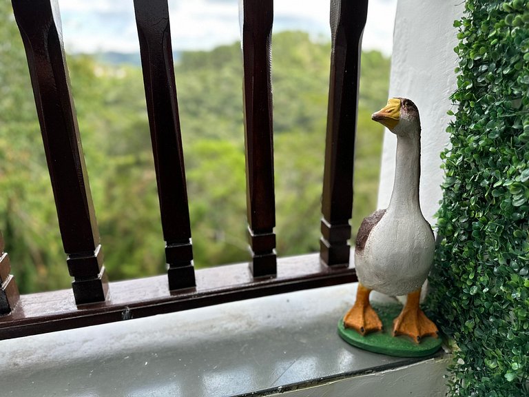 Flat com Lareira e Banheira | Home Green Home - Campos