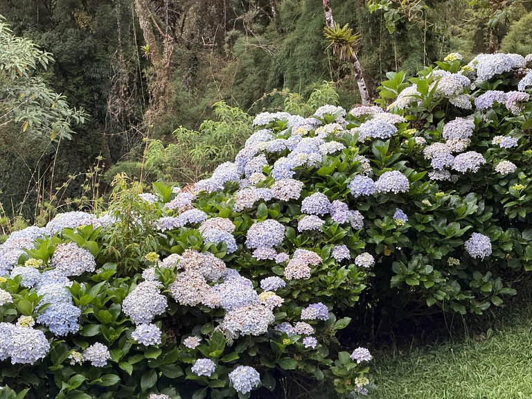 Flat Castillo Home Green Home