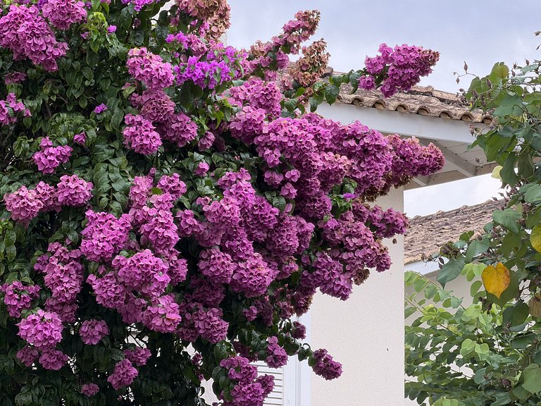 Complete house in Juquehy with beach service.