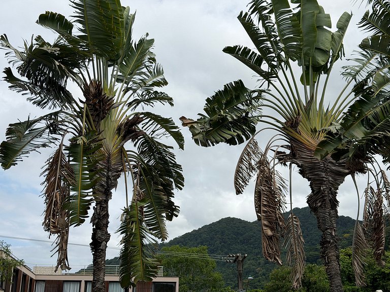 Casa com 5 quartos / Saúna e Piscina Privativa
